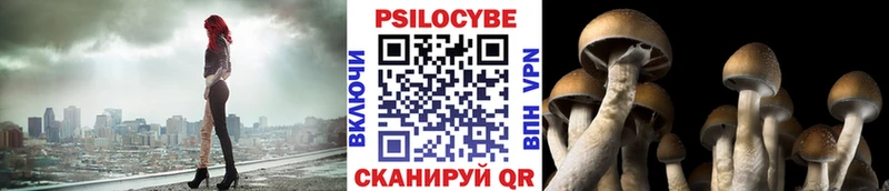 Галлюциногенные грибы Psilocybine cubensis  Бугульма 