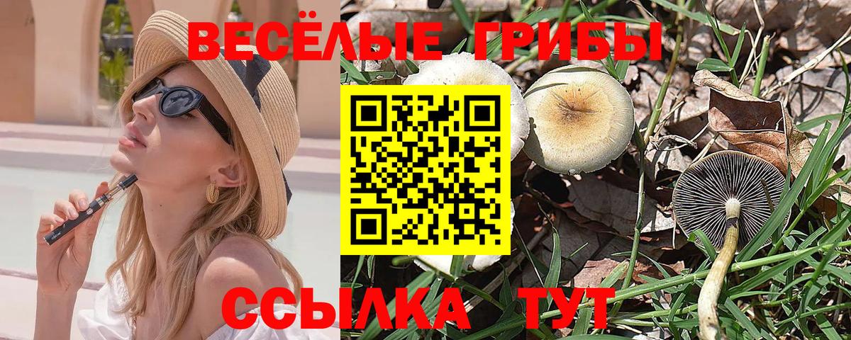 Бугульма  Галлюциногенные грибы ЛСД  Вход с VPN 