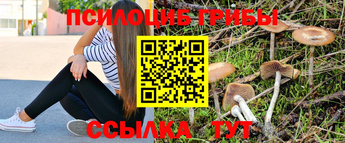 Псилоцибиновые грибы ЛСД Бугульма